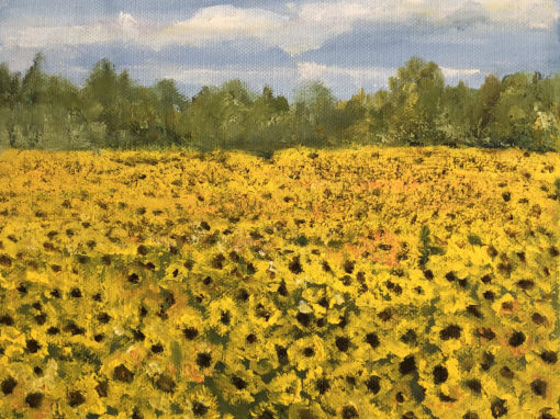 Sunflowers I –  SOLD