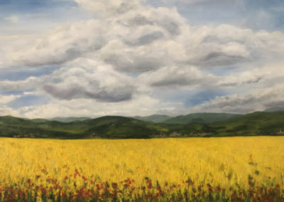 Canola field and poppies